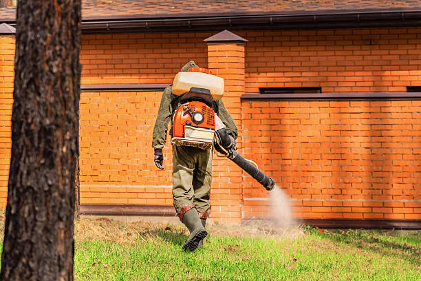 Trusted Rodent Control service in Lenoir City, TN - Nex Pest Control